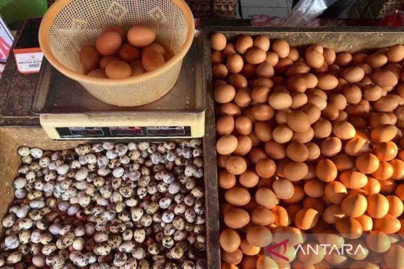 Komoditas pangan telur ayam ras di Pasar Karang Anyar Jakarta, Jumat (23/8/2024). ANTARA/Harianto