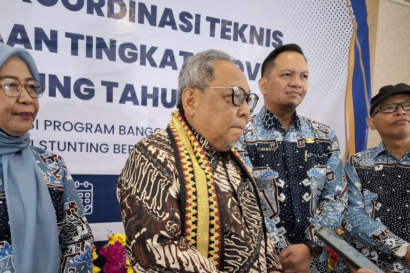 Ketua Umum Ikatan Praktisi dan Ahli Demografi Indonesia (IPADI) Sudibyo Alimoeso saat memberi keterangan. (ANTARA/Ruth Intan Sozometa Kanafi)