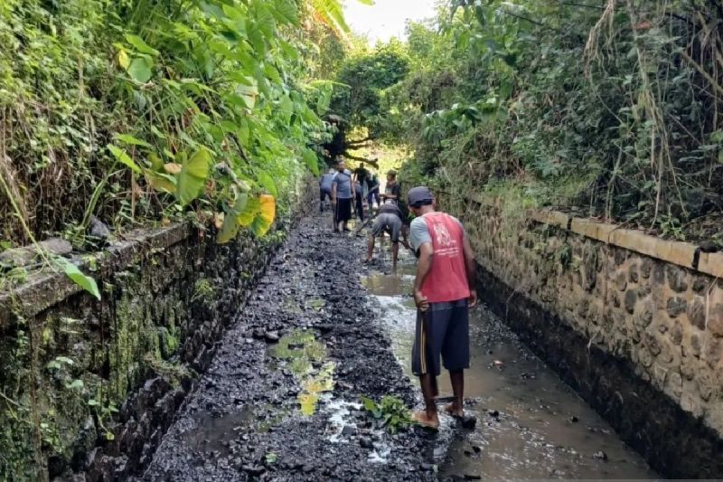 Warga pra-sejahtera gotong royong memeliharan saluran irigasi di Kabupaten Banyuwangi, Jawa Timur. ANTARA/HO-Humas Pemkab Banyuwangi (pemkab banyuwangi,sekda banyuwangi,)