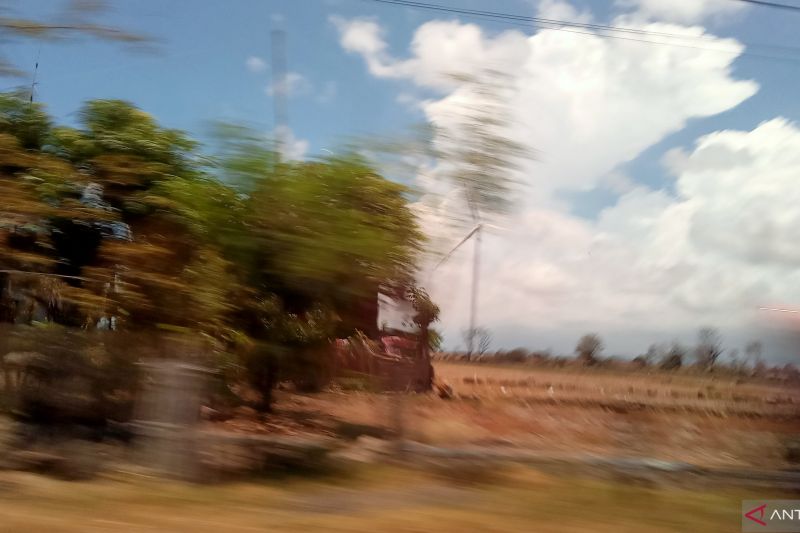 Ilustrasi suasana kekeringan yang melanda sebagian wilayah Kabupaten Maros. ANTARA/Suriani Mappong