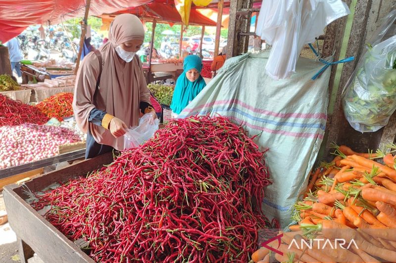 Harga cabai merah di Kota Bengkulu mengalami penurunan menjadi Rp18 ribu hingga Rp20 ribu per kilogram. Senin (14/10/2024) (ANTARA/Anggi Mayasari)