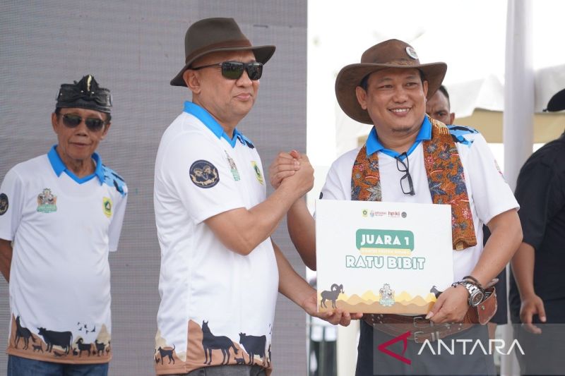 Menteri Koperasi dan UKM Teten Masduki dalam Festival Ternak Domba-Kambing dan Seni Ketangkasan Domba tingkat kabupaten di Stadion Pakansari, Cibinong, Kabupaten Bogor, Jawa Barat, Minggu (13/10/2024). (ANTARA/HO-Humas Pemkab Bogor)