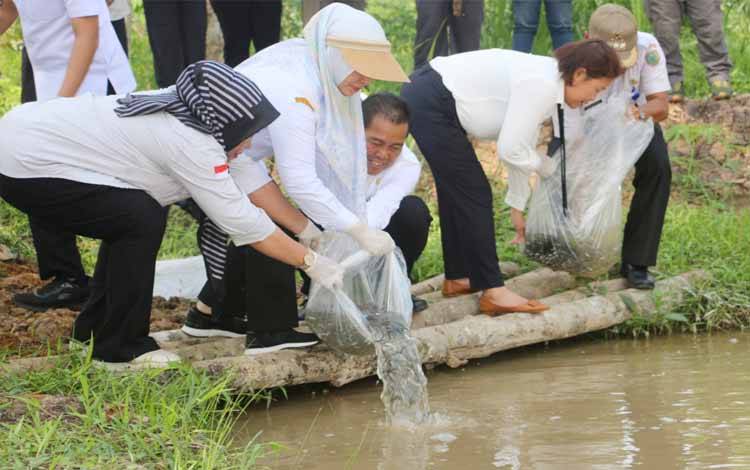 Kepala Dinas Perikanan Yudadi Ismail bersama Penjabat Bupati Pulang Pisau saat menaburkan benih ikan di kolam milik nelayan budidaya ikan (FOTO:RETHA)?