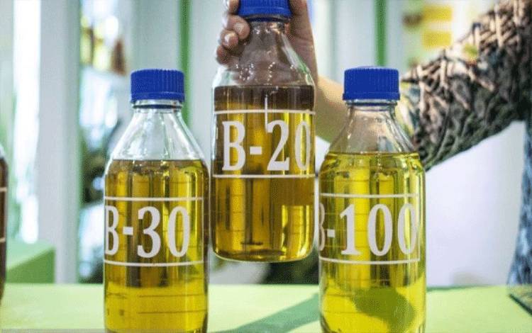 Ilustrasi - Petugas menunjukkan sampel bahan bakar nabati B-20, B-30, dan B-100. ANTARA FOTO/Aprillio Akbar