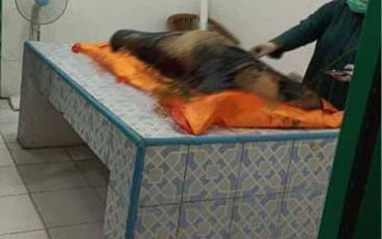 Polda Kalteng Selidiki Temuan Mayat di Katingan Diduga Korban Pembunuhan Anggota Polisi
