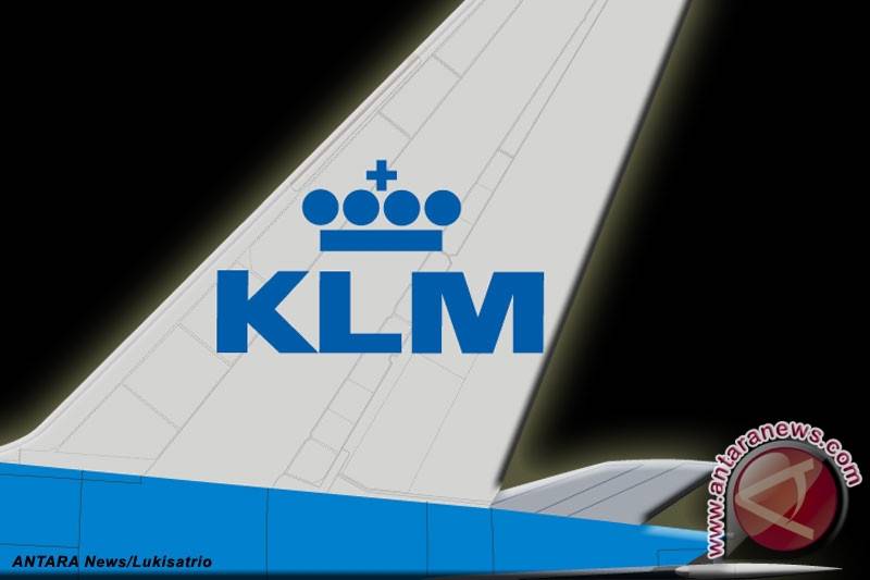 Ilustrasi pesawat komersial KLM asal Belanda (ANTARA News/Lukisatrio)