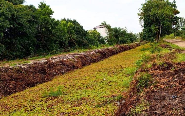 Saluran drainase Kelurahan Palangka (Foto: MARINI)