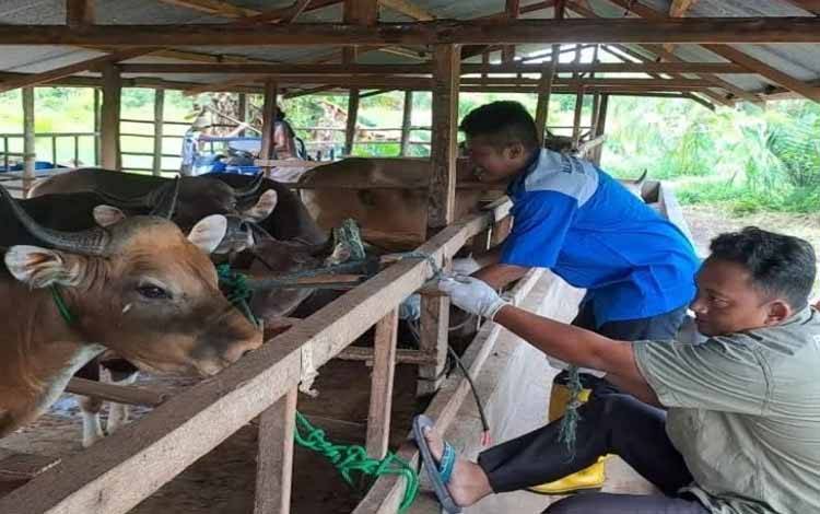 Peternak Palangka Raya (Foto:Istimewa)