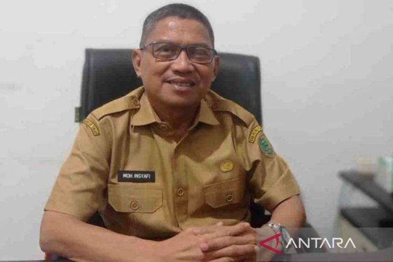 Kepala Diskominfosandi Pulang Pisau Moh Insyafi. ANTARA/Arief Suseno