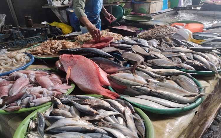 Ikan hasil tangkapan laut yang dijual di Pasar Rajawali, Kota Palangka Raya.(FOTO: TESTI PRISCILLA)