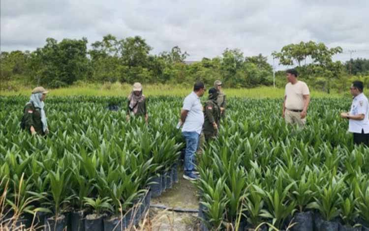 Disbun Kalteng melaksanakan pengawasan dan pembinaan produsen pembibitan kelapa sawit di Kabupaten Katingan (26/2/2025). (ANTARA/HO-Disbun Kalteng)