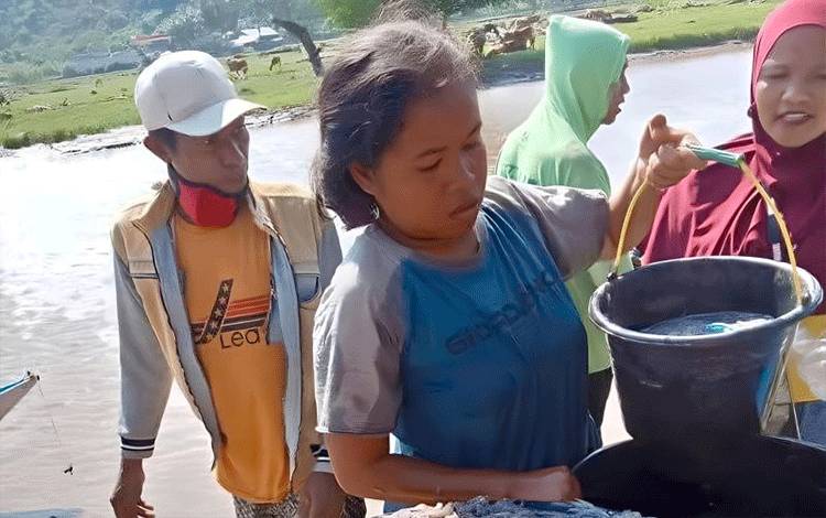 Seorang warga memindahkan ikan ifu dari ember ke baskom di Desa Sandue, Kecamatan Sanggar, Kabupaten Bima, Nusa Tenggara Barat. (ANTARA/Ady Ardiansah)