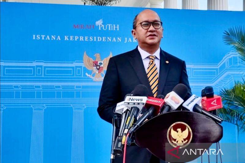 Menteri Investasi dan Hilirisasi/Kepala BKPM Rosan Perkasa Roeslani menjawab pertanyaan wartawan selepas mendampingi Presiden RI Prabowo Subianto menerima CEO VinFast di kompleks Istana Kepresidenan RI, Jakarta, Selasa (11/3/2025). ANTARA/Mentari Dwi Gayati