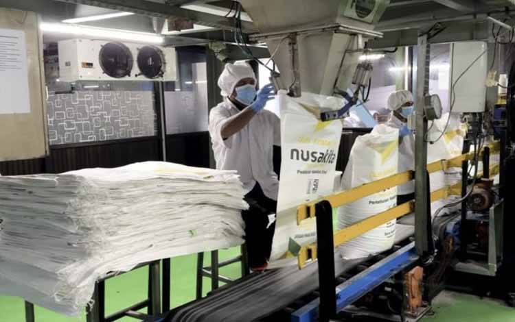 Proses pengemasan gula kemasan 50 kilogram produksi Pabrik Gula Djatiroto di Lumajang, Jawa Timur, Rabu (14/8/2024). (ANTARA/HO-Sinergi Gula Nusantara)