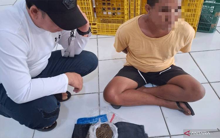 Petugas BNNP NTB menginterogasi IGAW usai tertangkap mengambil paket kiriman berisi ganja asal Medan, Sumatera Utara, di kompleks pergudangan wilayah Labuapi, Lombok Barat, NTB, Kamis (27/3/2025). ANTARA/HP-BNNP NTB