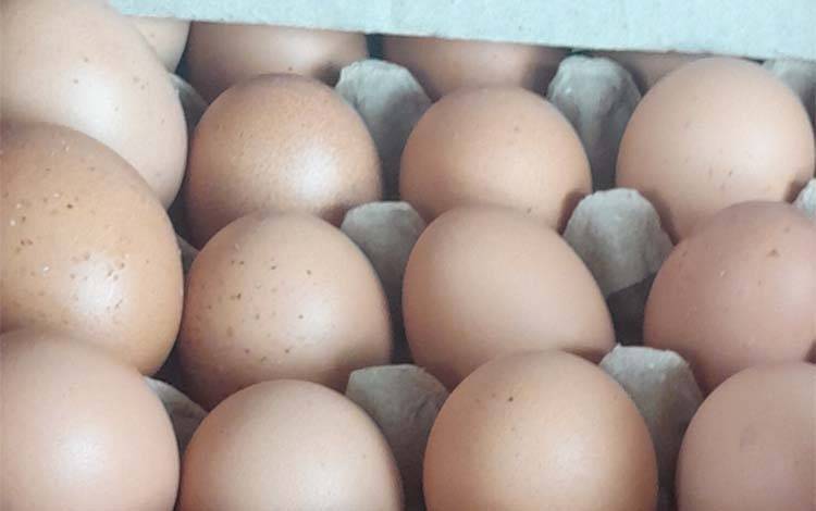 Telur ayam (Foto: MARINI)