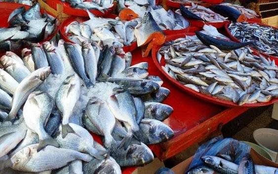 Ilustrasi sektor perikanan. Dislutkan Kalteng menilai pelabuhan perikanan modern dapat mendorong pertumbuhan perekonomian maritim. (FOTO:PIXABAY)