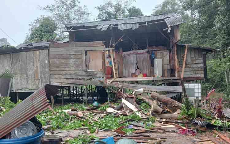 Rumah warga yang rusak tertimpa pohon tumbang di Desa Lalap Kabupaten Barito Timur, Jumat, 9 Mei 2025. (FOTO: AGUSTINUS BOLE MALO)