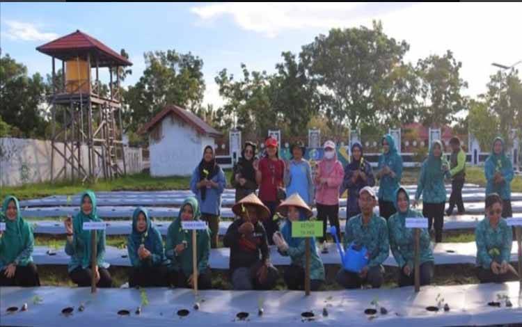 Ketua TP PKK Seruyan Ny Welduline Ahmad Selanorwanda ?bersama pengurus dan anggota melaksanakan kegiatan tanam cabai dengan memanfaatkan lahan di sekitar pekarangan (Foto : Ist)