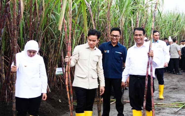 Menteri Pertanian Andi Amran Sulaiman (kanan) mendampingi kunjungan kerja Wakil Presiden Gibran Rakabuming Raka (kedua kiri) pada acara panen raya dan penanaman tebu di Kebun Tebu Jolondoro, Banyuwangi, Jawa Timur, Senin (23/6/2025). ANTARA/HO-Humas Kementan