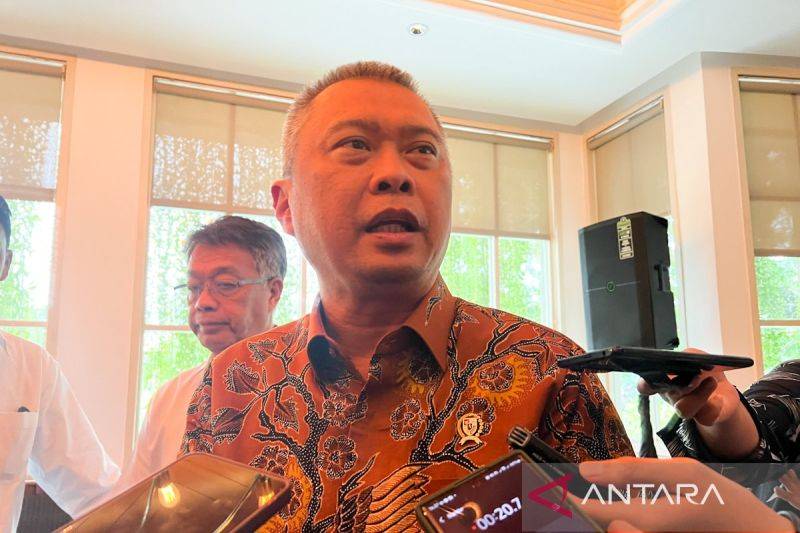 Menteri Perhubungan (Menhub) Dudy Purwagandhi. ANTARA/Harianto