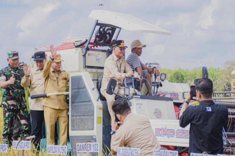 Gubernur Kalteng Agustiar Sabran saat panen raya padi di Desa Terusan Makmur, Kecamatan Bataguh, Kabupaten Kapuas, Senin (14/7/2025). ANTARA/HO-Diskominfosantik Kalteng