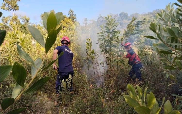 Ilustrasi: Tim pemadam kebakaran memadamkan api yang membakar hutan dengan cara tradisional, di Tanjungpandan, Minggu (3/8/2025) ANTARA/Apriliansyah