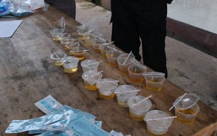 Deretan sampel urine personel Polres Lamandau. (FOTO: ISTIMEWA)