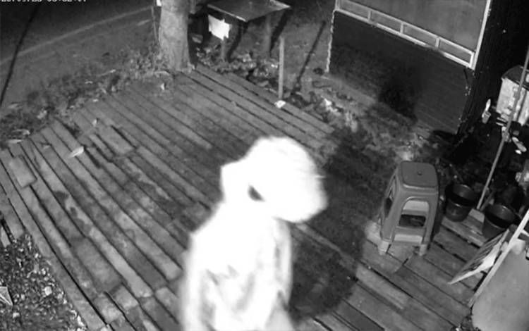 Pelaku pencurian yang sempat terekam CCTV di Kapuas Timur, Selasa dini hari, 23 September 2025. (FOTO. IST)