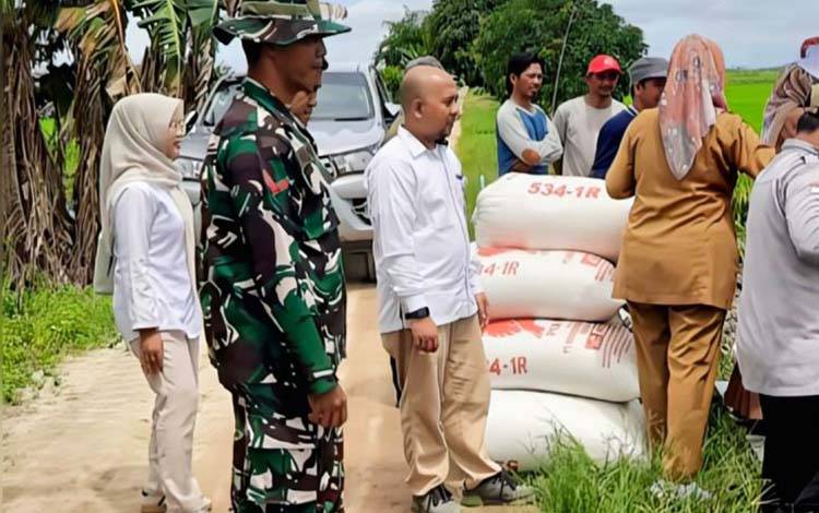 Arsip - Bulog Kantor Cabang Kotim saat penyerapan gabah di Desa Lampuyang beberapa waktu lalu. ANTARA/Dokumentasi pribadi