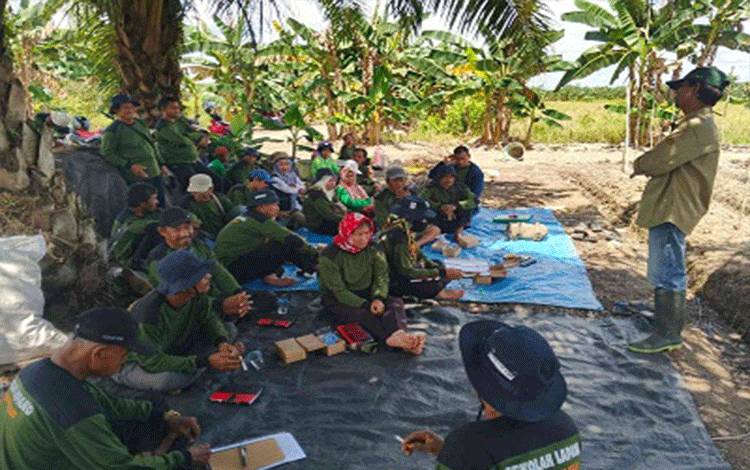 Sebanyak 30 petani cabai dari Desa Pulau Telo, Kecamatan Selat, mengikuti kegiatan Sekolah Lapang Budidaya Cabai berdasarkan konsep Pengendalian Hama Terpadu (SLPHT) pada Rabu, 1 Oktober 2025. (FOTO. DTPHP Kalteng)