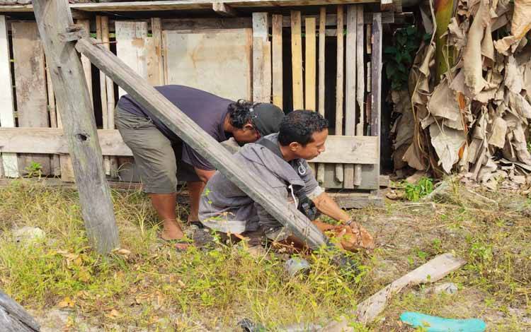 Petugas vaksinasi memberikan suntikan kepada hewan peliharaan masyarakat.(FOTO: TESTI PRISCILLA)