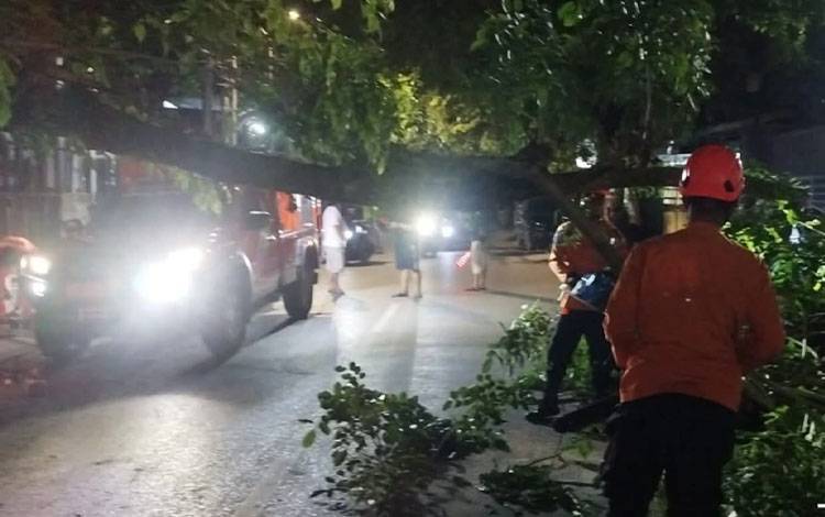 Proses evakuasi pohon Trembesi yang tumbang di Jalan Cempaka Besar, Banjarmasin, Sabtu, 15 November 2025. (FOTO: BPBD Banjarmasin)
