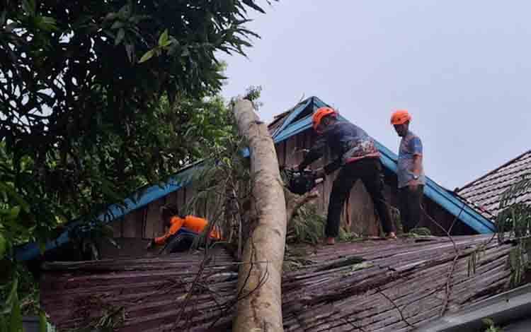 Tim terlihat memotong pohon yang tumbang mengenai rumah warga. Masyarakat diimbau selalu waspada cuaca ekstrem. (FOTO: MARINI)
