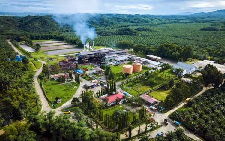 Ilustrasi perkebunan kelapa sawit. (FOTO: Istimewa)