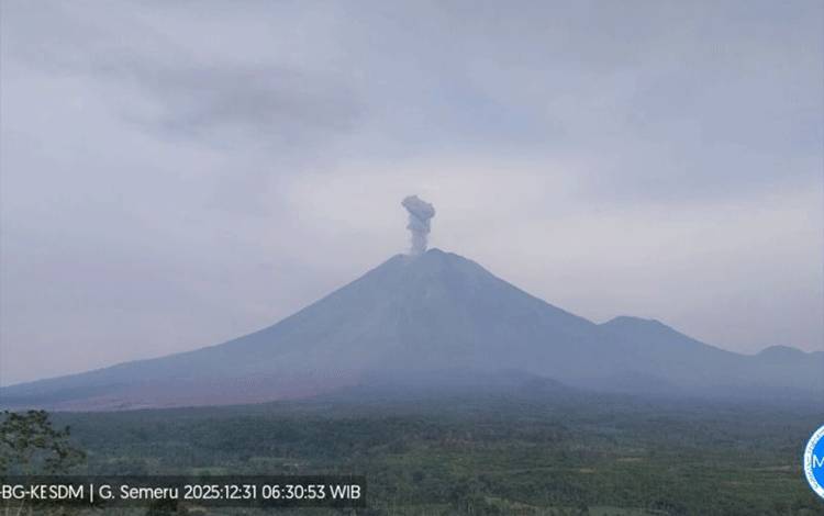 Gunung Semeru erupsi dengan tinggi letusan mencapai 900 meter di atas puncak pada Rabu (31/12/2025) pagi. ANTARA/HO-PVMBG