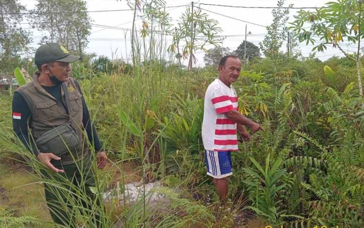 BKSDA Resort Sampit observasi lokasi kemunculan beruang di Kelurahan Baamang Barat, Kecamatan Baamang. (FOTO: IST)