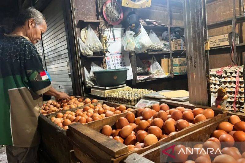 Ilustrasi - Komoditas telur ayam ras dijual pedagang di Pasar Minggu, Jakarta Selatan. ANTARA/Harianto