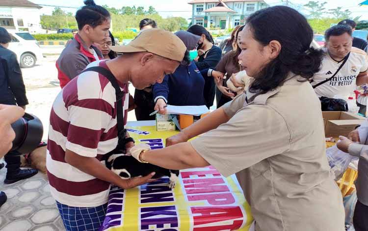 Pelayanan oleh Dinas Pertanian dan Ketahanan Pangan Kota Palangka Raya kepada hewan kesayangan masyarakat dalam Hari Rabies Sedunia tahun 2025 lalu.(FOTO: TESTI PRISCILLA)