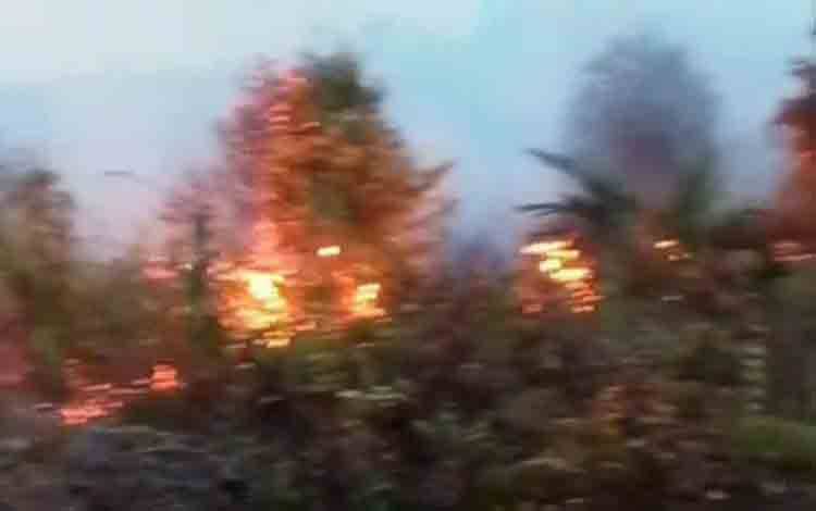 Kebakaran lahan di Desa Bagendang Hilir, Senin, 26 Januari 2026. (FOTO: IST)