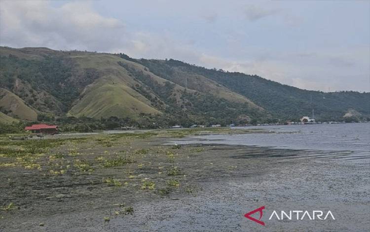 Gunung Cycloop yang terlihat dari danau sentani, Kabupaten Jayapura, Papua. ANTARA/Qadri Pratiwi