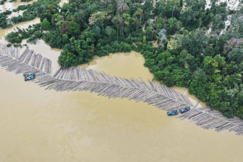 Foto udara memperlihatkan ratusan batang kayu bulat terlihat di Sungai Kapuas yang berada di wilayah Desa Bajuh, Kabupaten Kapuas, Kalimantan Tengah, Senin (23/2/2026) ANTARA/HO-Kemenhut