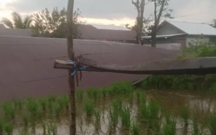 Salah satu kondisi rumah warga yang roboh akibat puting beliung di Jalan Handil Buluan, Sungai Tabuk, Kabupaten Banjar, Rabu, 4 April 2026. (FOTO: IST)
