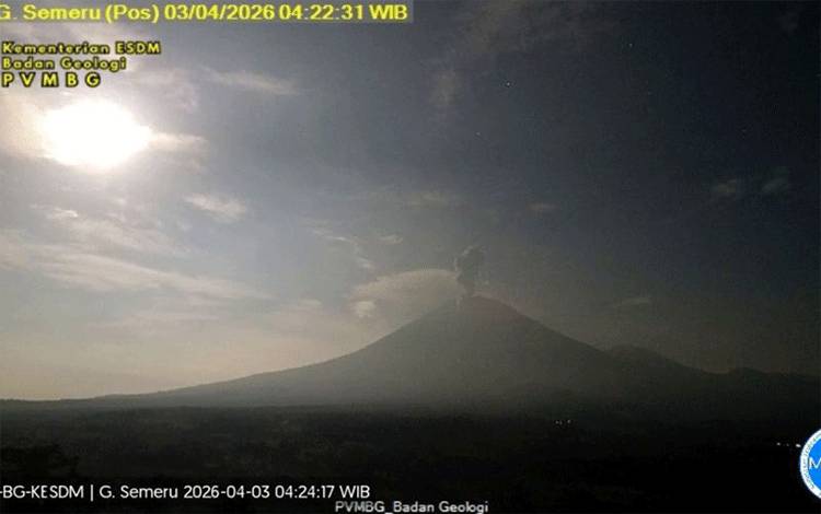 Gunung Semeru kembali erupsi dengan tinggi letusan capai 1.200 meter di atas puncak pada Jumat (3/4/2026) pagi. ANTARA/HO-PVMBG