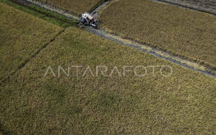 Foto udara petani memanen padi menggunakan mesin pertanian belum lama ini. (ANTARA/Aprillio Akbar/YU)