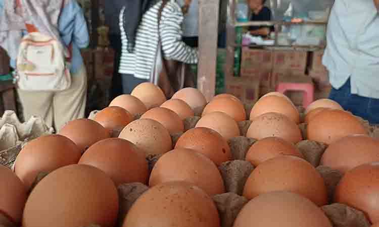 Telur ayam di salah satu agen di Kabupaten Kotawaringin Timur. (FOTO: DEWIP)