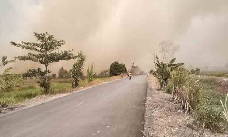 Kondisi Jalan Peramuan, Banjarbaru yang dipenuhi kepulan asap akibat kebakaran lahan apda Sslasa, 14 Juli 2026. (FOTO: BIB Kalimantan)