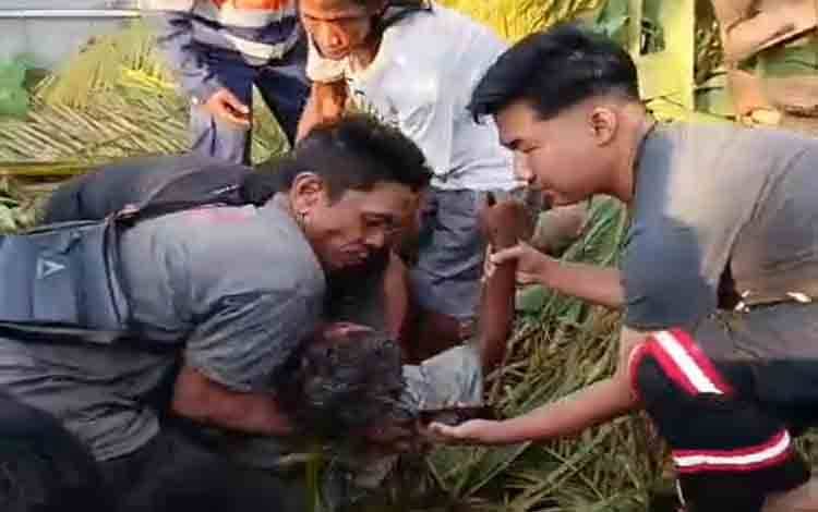 Seorang pria ssst dievakuasi usai insiden tertimpa batang pohon yang ditebang di Jalan Cempaka Raya, Telaga Biru, Banjarmasin, Senin sore, 20 Juli 2026. (FOTO: BIB Kalimantan)