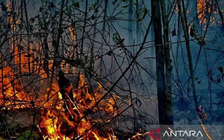 Kebakaran hutan dan lahan menghanguskan lahan gambut di kawasan Bandara Internasional Syamsudin Noor, Banjarbaru, Kalimantan Selatan, Senin (24/8/2026). (ANTARA/Tumpal Andani Aritonang)