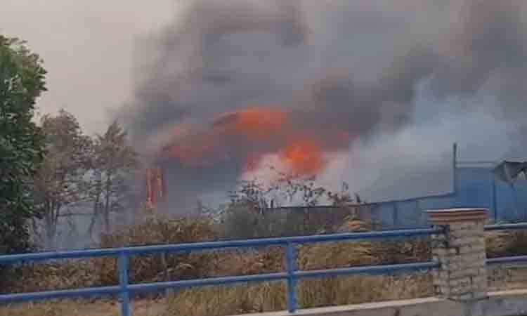 Bangunan bekas kandang babi di Kelurahan Pasir Putih hangus terbakar, Selasa, 25 Agustus 2026. (FOTO: IST)